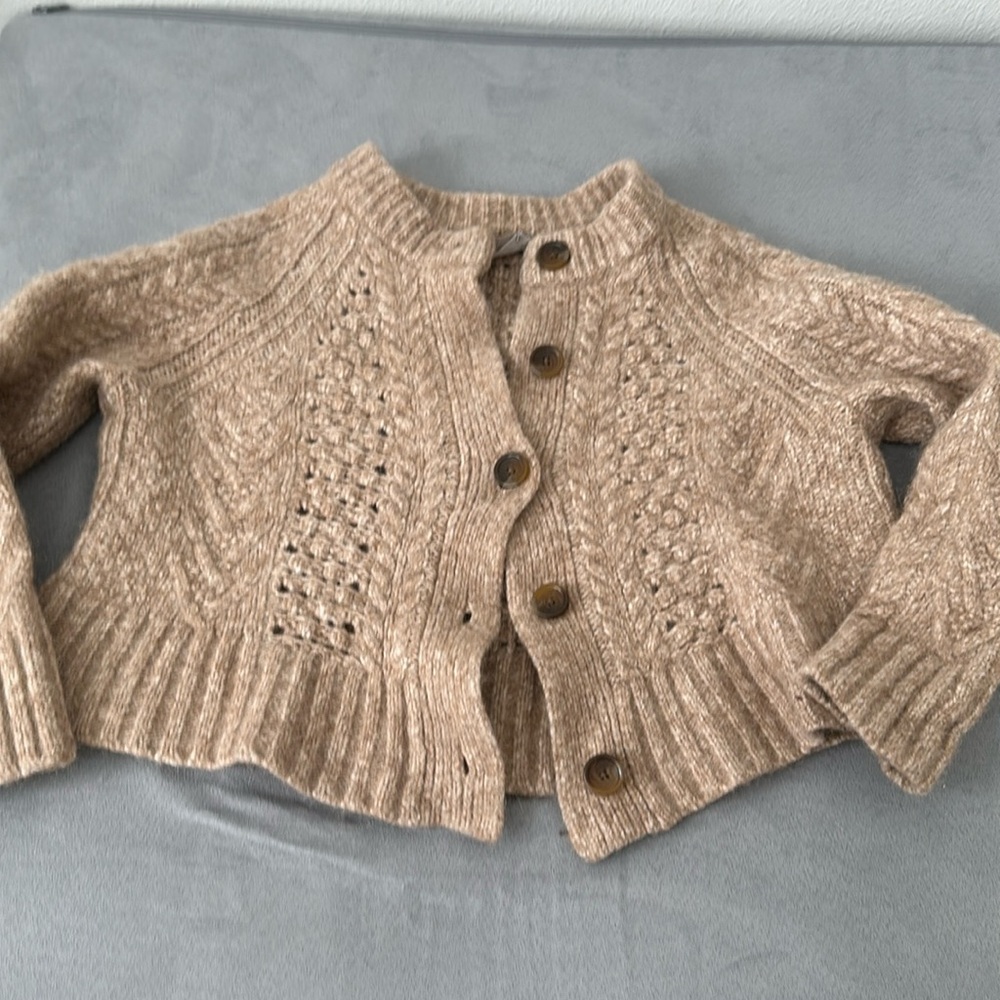 Everlane Wool Alpaca Cardigan